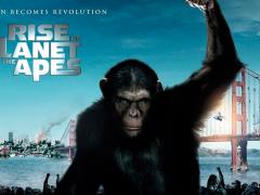 Filmes de ação sobre chimpanzés