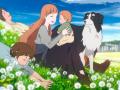 Filmes de anime sobre o amor